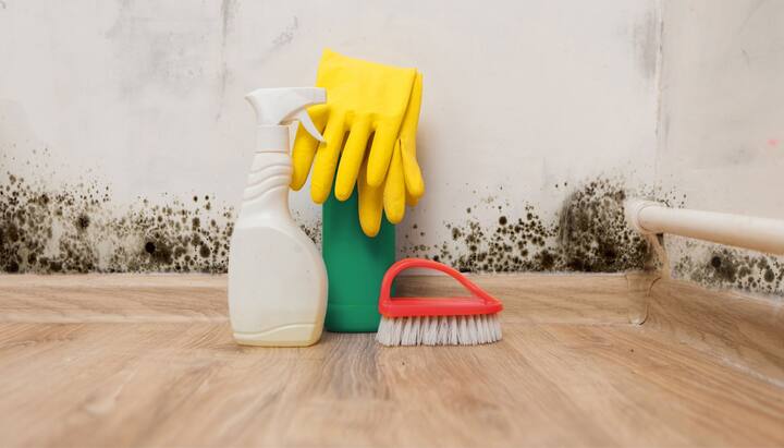 We offer fast and reliable services to help remove and prevent mold growth in your home or business in Castle Rock, Colorado