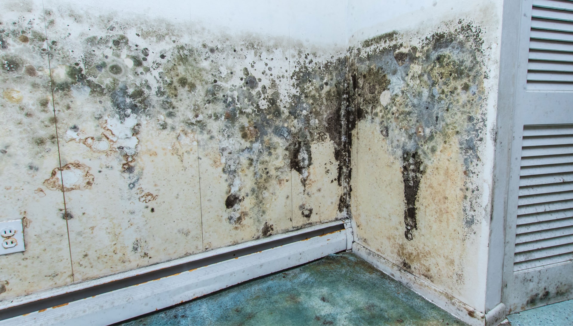 Professional mold removal, odor control, and water damage restoration service in Castle Rock, Colorado.
