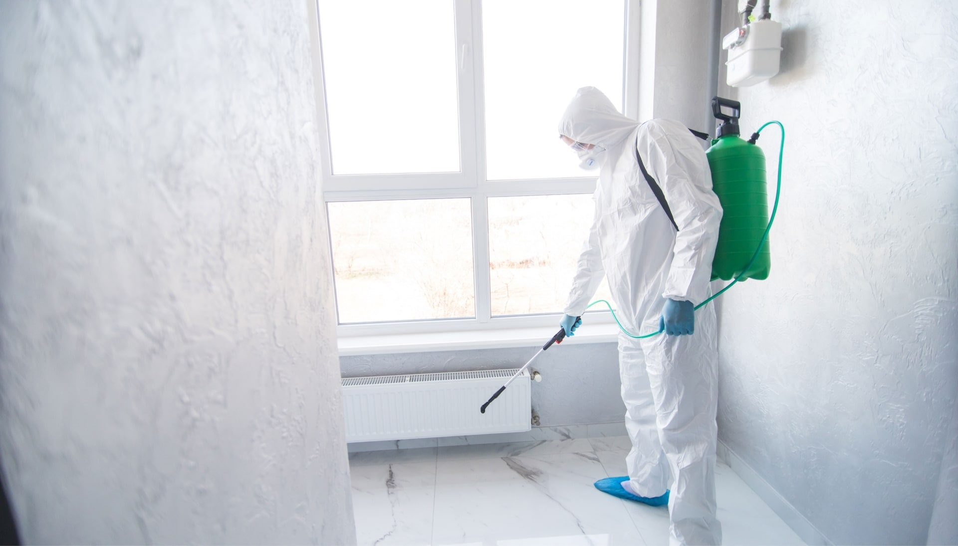 We provide the highest-quality mold inspection, testing, and removal services in the Castle Rock, Colorado area.