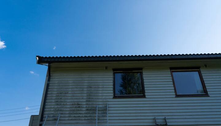 Be proactive about your home's safety and get residential mold removal services in Castle Rock, Colorado.