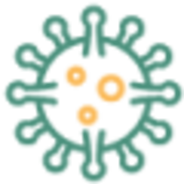 Castles Mold Solutions